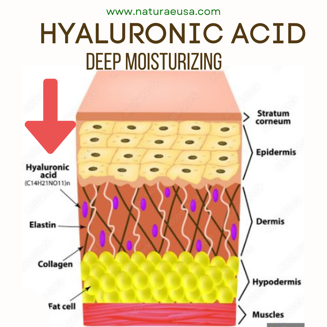 What is Hyaluronic Acid and its Benefits To The Skin